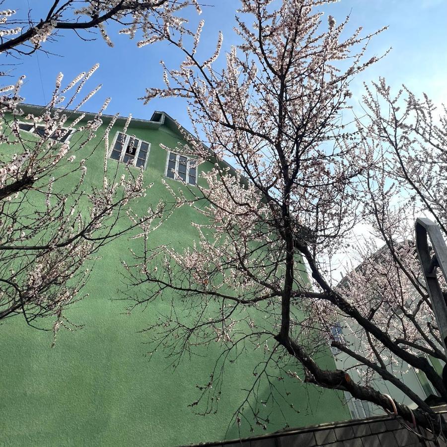Abs Guest House Osh Εξωτερικό φωτογραφία