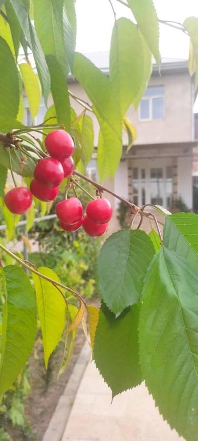 Abs Guest House Osh Εξωτερικό φωτογραφία